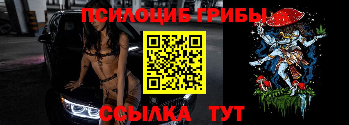 Галлюциногенные грибы Psilocybe Старая Русса
