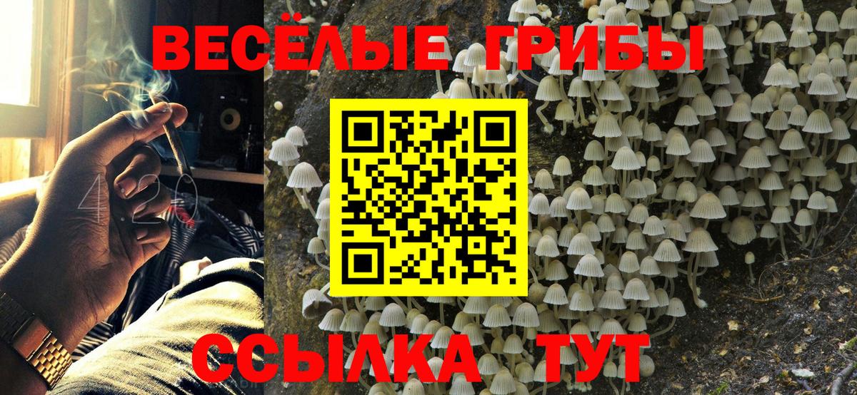 Галлюциногенные грибы прущие грибы  Галлюциногенные грибы GOLDEN TEACHER  Старая Русса  Вход с VPN 